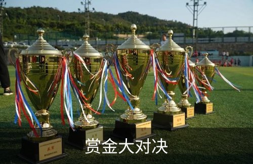 走进赏金大对决